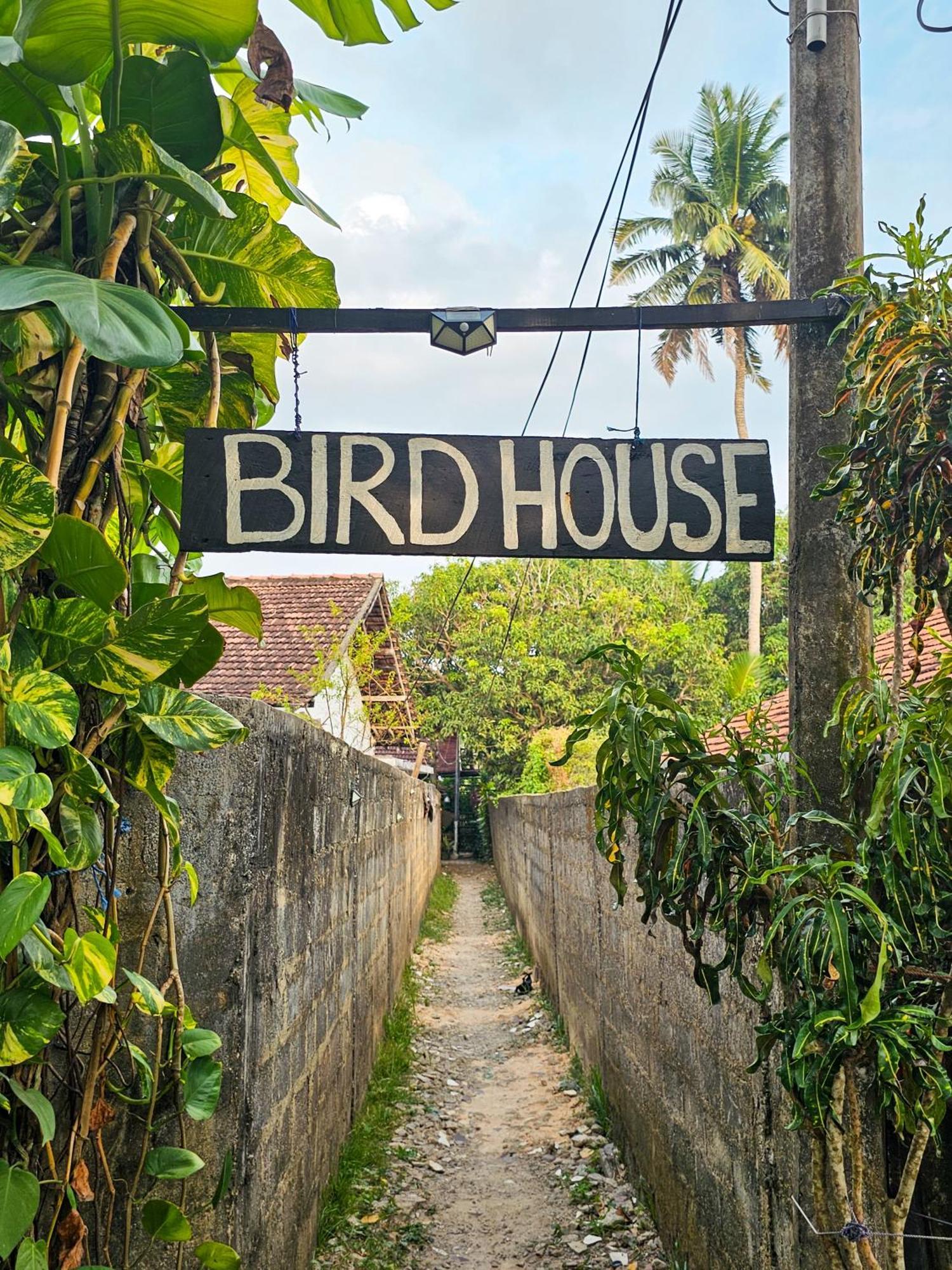 Hotel Bird House Mirissa Exterior foto